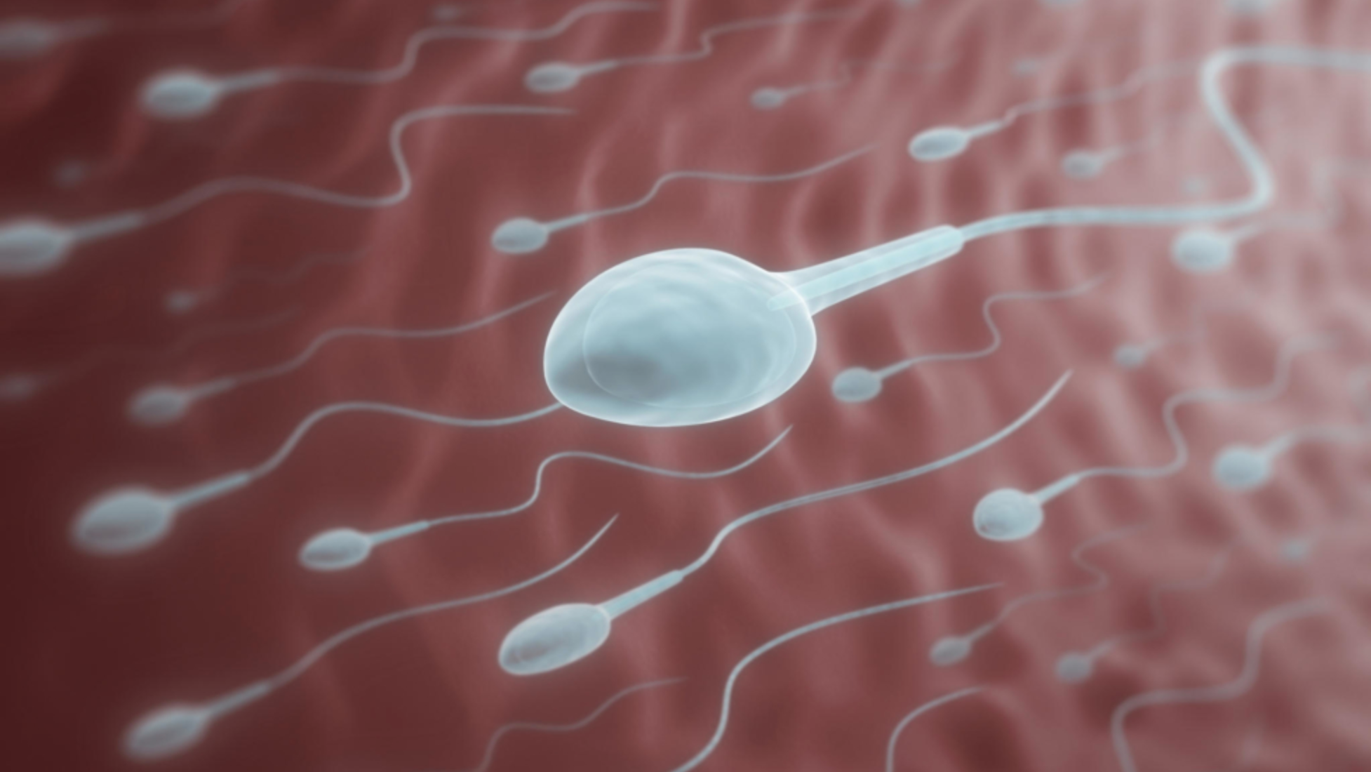 Меньше спермы при простатите